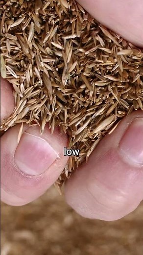 How to Get Rid of Bermuda Grass!