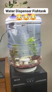 Water Dispenser Fishtank 😳😳 #FishTankGoals #fishtanksetup #fishhobbyist #fishhobby #aquariumlife #fishtank #aquarium #fishtanklife #fishtankdecor #aquariumtank #aquariumhobby #aquariumfish #guppy #guppyfish #guppyfishtank #waterdispenser | Fish Hobbyist
