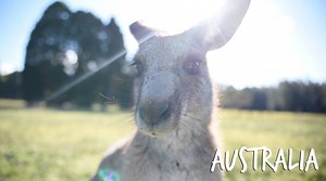 Explore Epic Australia 🇦🇺 Adventure starts here! www.introtravel.com/tours/oz-intro/ | Intro Travel