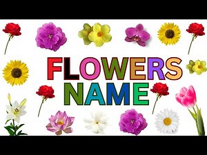 Discover Beautiful Flowers: Names and Real Videos for Kids | Educational Video