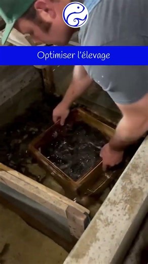 Tri des alevins : pourquoi et comment utiliser un trieur à barreaux