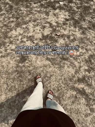 কোথায় পালালে ভালো হবে?