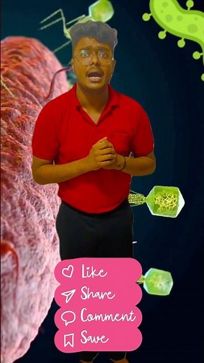 Motility in Bacteria: Flagella, Twitching & More! Learn Microbiology in Seconds! #MedEd #mbbs