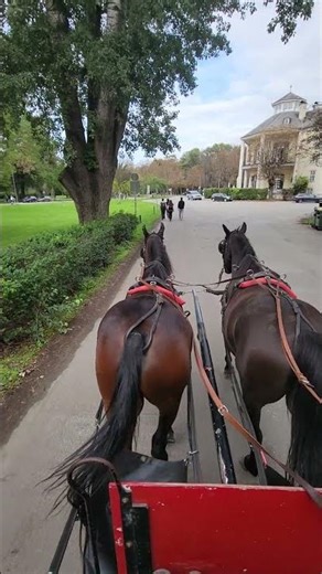 Carriage Ride to a Historic Pavilion in a Parc 🐴🏛️ | #shorts #horse
