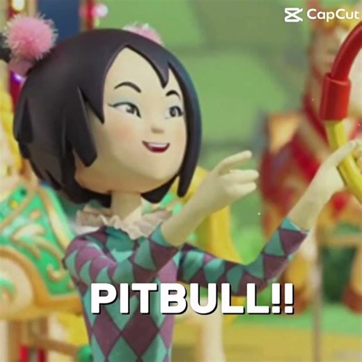 Pitbull terrier (Flash warning ⚠️!) Toby’s Travelling circus female version