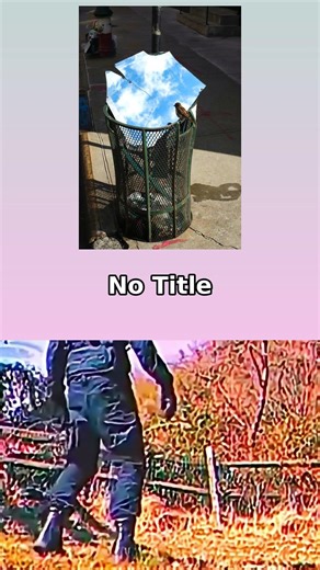 Meme