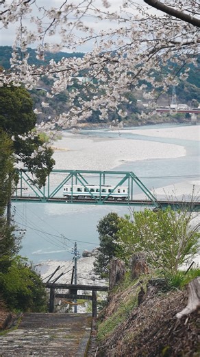 【車窓から見える、春の瞬間】