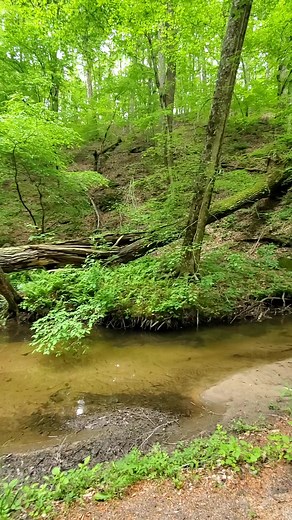 134K views · 1.8K reactions | We found signs of an old still looking for arrowheads! #artifacts #arrowhead #rockhound #creek #moonshine #discovery #unbelievable #explorepage #Georgia #southern #ancient #outdoors #adventure #nature | Zach Byrd Adventure Hour | Facebook