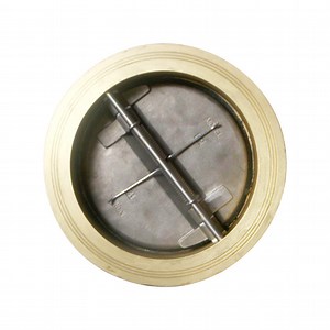[Hot Item] Aluminium Bronze Dual Plate Wafer Check Valve