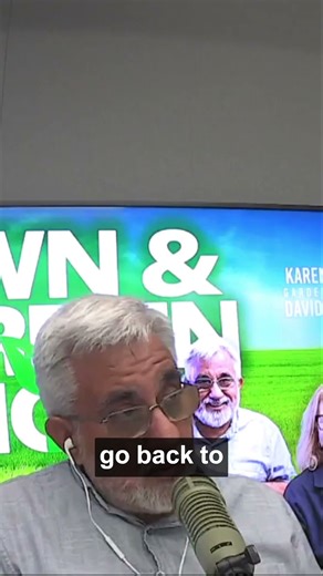 Why Maroon Bluebonnets Always Turn Blue Again (Texas Wildflower Secret!)