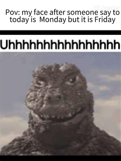 My face after someone say to today is Monday but it is Friday Edit