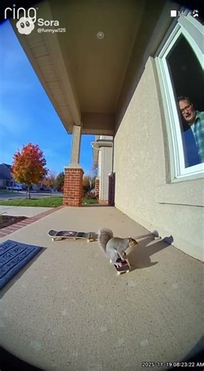 squirrel can do tricks 😎