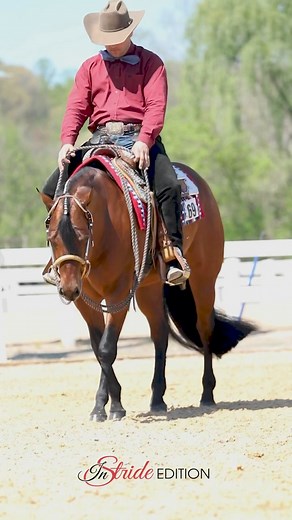 Congratulations to Adam Mathis and American Made! Champions in the $2,500 Limited Horse Open Western Pleasure at The Virginia Maiden for owner Nettie Olsen | Instride Edition