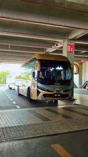 New Year Celebrations with MTC Bus 2026