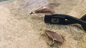 Fly Tying with Steven Craig: Realistic Caddis Fly - FrostyFly