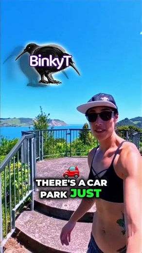 Huia Lookout Walk | The Difficulty Rating Is Completely Wrong (Waitakere Ranges NZ)