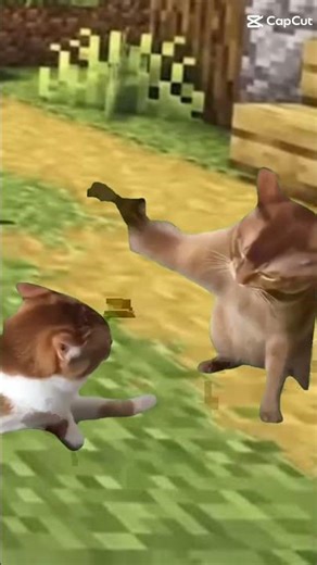 #El meme de Minecraft gatitos