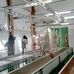 [Hot Item] Sheep Abattoir Slaughtering Equipment with Conveyor Line for Sheep Meat Processing Plant