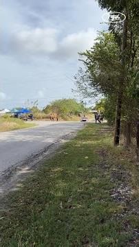 Chicane entry compilation 🌟 Day 2 of Rally Barbados 2026 - Padmore stage☀️ very interesting to see