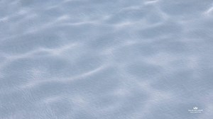 10K views · 554 reactions | ☀ A morning by our Infinity Pool ☀ | Grand Palladium Jamaica Resort & Spa | Facebook