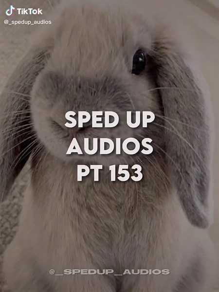 little dark age - MGMT #spedup #audios #nightcore #littledarkage #mgmt #sounds #foryoupage