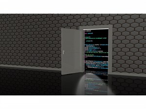 Vulnerabilities found in Citrix and Pulse Secure products