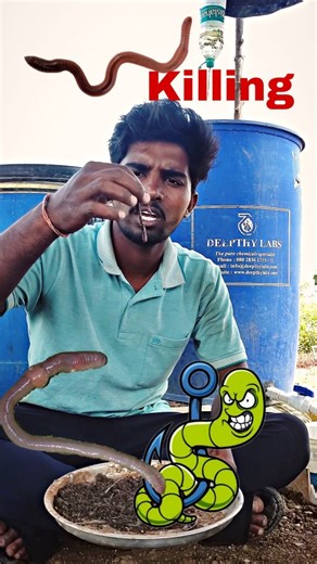 B.techರೈತ Organic's on Instagram: "How to kill Earthworms = Do Chemical Farming Follow @b.techrytha For more such videos #erehulu #earthworms #farming #agriculture #naturalfarming #SustainableAgriculture #saynotochemicalfarming #OrganicFarming #organicfertilizer #chemicalfertilizers #earthworms #farmersfriend #experiment #urea #dap #potash #farminginkannada #kannada #idea #greenrevolution #green #sustainablefarmingpractices #sustainablefarming Earthworms are often called "farmer's friends" becau