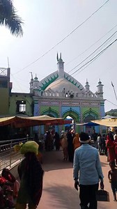 Dil Mein kida Dil Facebook reels trending song | Sahadat Ali