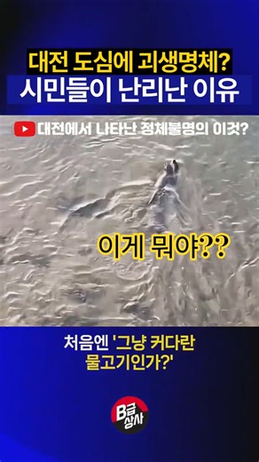 대전 도심에 괴생명체? 시민들이 난리난 이유