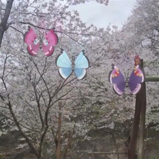 비비용 ( Vivillon ) ビビヨン ( 彩粉蝶 )