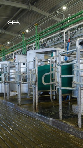 2K views · 20 reactions | Choose the Milking Style That Works for...