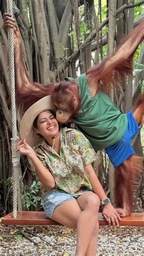 ගීත්මාට සෙට් උනු ඔරංඔටං Geethma bandara #shortvideo