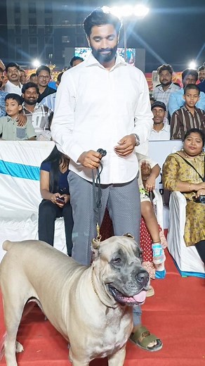 639K views · 10K reactions | #dogshowhighlights✨ | Margani Bharat | Facebook