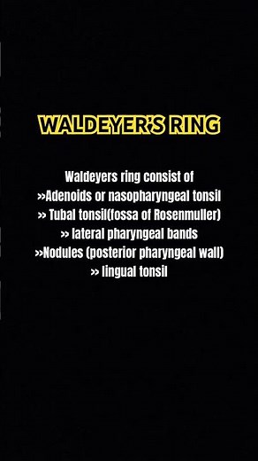 “Waldeyer’s Ring: Lymphoid tissue guarding the throat! First line of defense. #Immunity #Tonsils