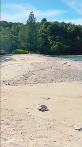 The Twin Seas, Split by Sand