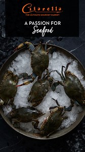 With decades of experience, owner Joe Gurrera guarantees the best seafood experience in the world! | Citarella