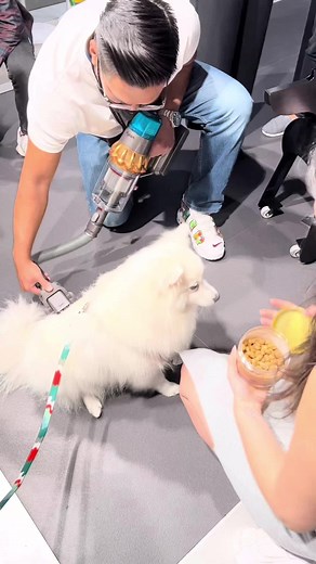 NYLON SINGAPORE on TikTok