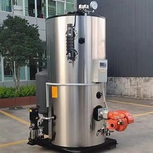 [Hot Item] One Ton Steam Boiler Vertical for Washing Plant Industry