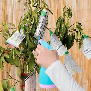 Gardening hacks you need to know! | 5-Minute Recycle