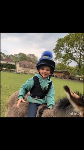 A short story about a boy and his donkey, it could well be a sequel to their actual published story of The Donkey And His Drummer (Available on Amazon 😉) 4yr old Oliver has realised that throwing himself off Noodles has got a tad boring these days, or was it the realisation that he can go much faster when he sits properly? Despite his best intentions of riding properly, along came the donkey, clearly not dressed for riding, so obliviously Oliver simply had to get on. What more could our little 