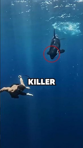 This Guy Is Basically Real-Life Aquaman 🤯