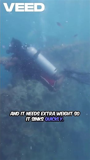 Is Burial at Sea 100% Legal in the U.S.? Not Without Strict Rules.