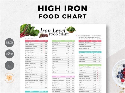 High Iron Food Chart: Anemia Diet Guide (PDF) - Etsy