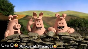 1.3M views · 47K reactions | #dog #petcare #pet #cute #petlovers #viral #trending #animallovers #funny #pig | Janvaro ki bhasha369 | Facebook