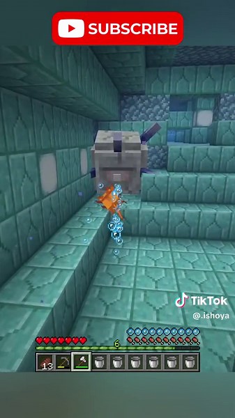 Minecraft Adventure: Building an Axolotl Army