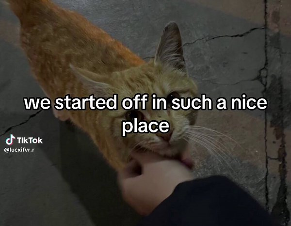 syaa (@lucxifvr.r)’s videos with original sound - goated.aeppp