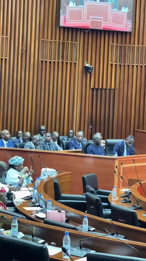 Dial'art vision sur TikTok