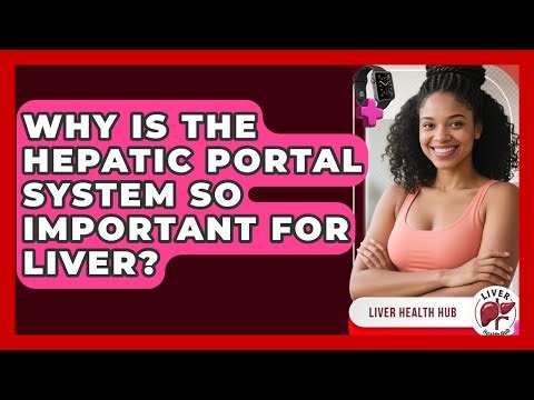 Why Is The Hepatic Portal System So Important For Liver? - Liver Health Hub