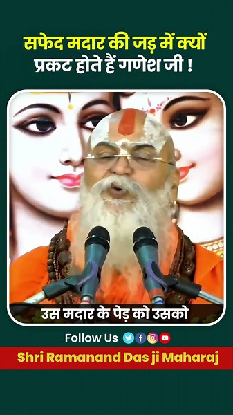 सफेद मदार की जड़ में क्यों प्रकट होते हैं गणेश जी ! #SafedMadar #SafedAak #MadarKiJad