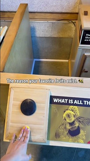 Why Your Favorite Fruits Exist